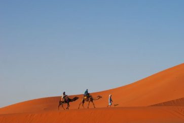 Sahara