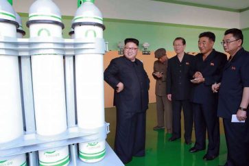 kim6