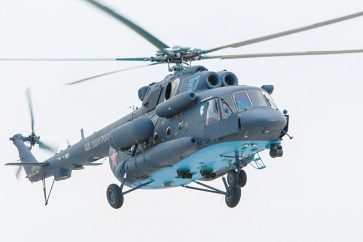 helicorussearctique