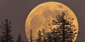 Supermoon 2016