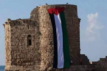 Palestinian flag raised over Sidon Sea Castle
