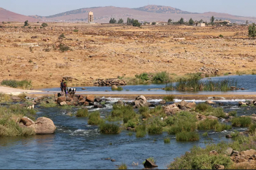 Golan syrien