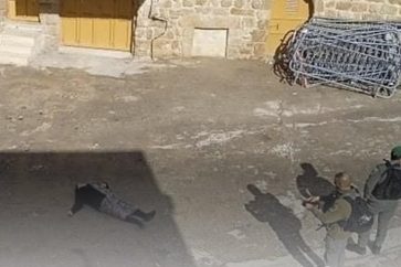 alkhalil