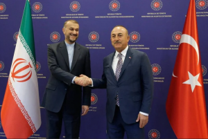MM.Abdollahian et Cavusoglu