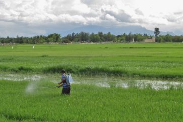 pesticides_arni