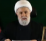 Hezbollah Deputy Secretary General Sheikh Naim Qassem