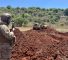 Lebanese Army