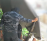 Palestinian Resistance